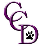 Curious Cat Designs